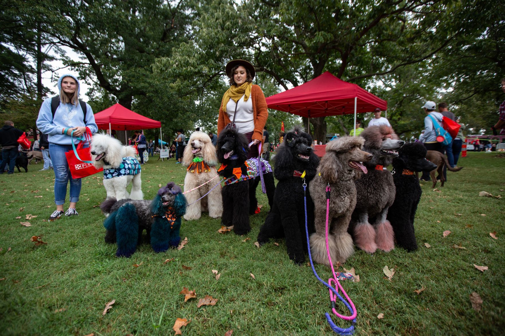 191006TSCanineCarnival98